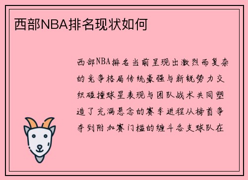 西部NBA排名现状如何